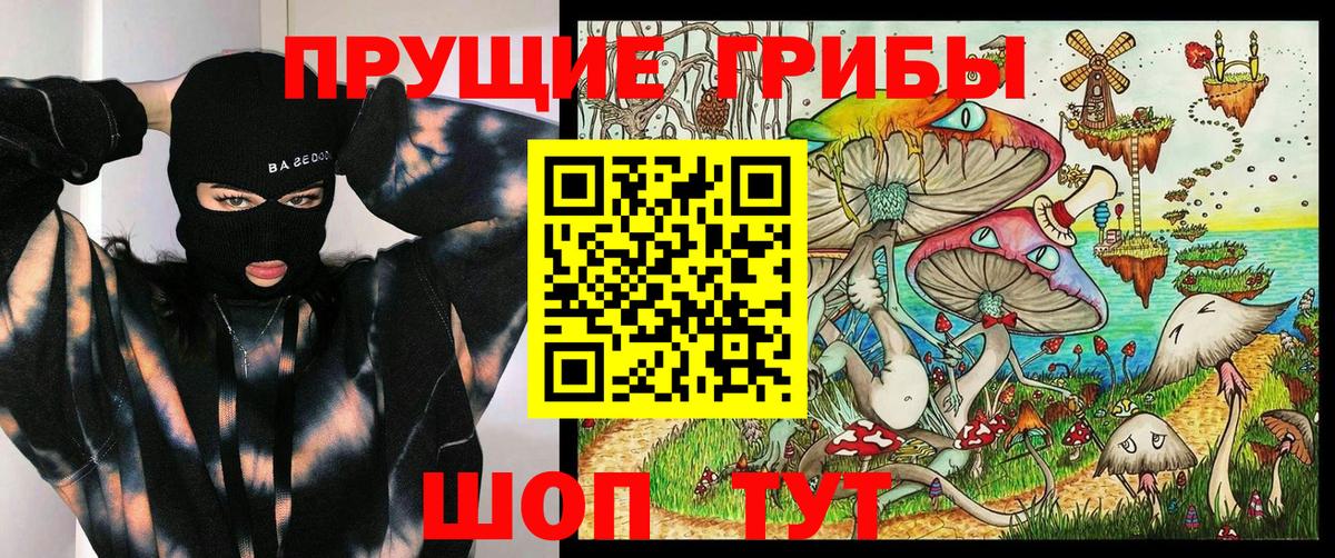 Псилоцибиновые грибы Cubensis Донецк