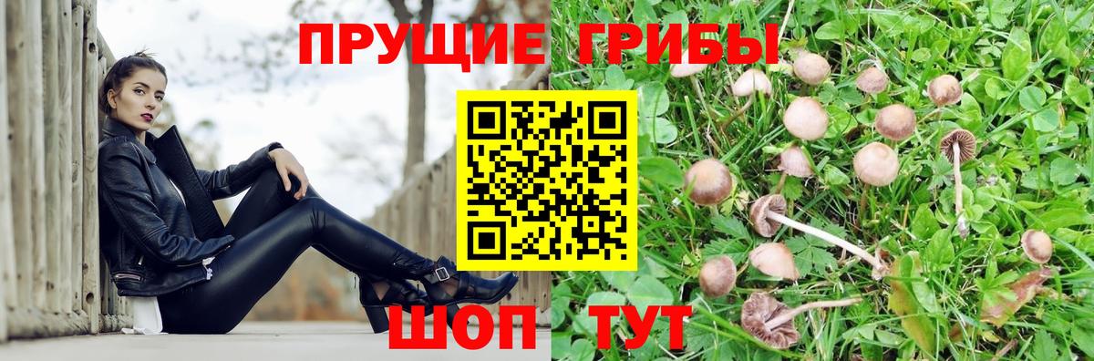 Галлюциногенные грибы MAGIC MUSHROOMS  Вход с VPN  купить наркотик  Донецк 